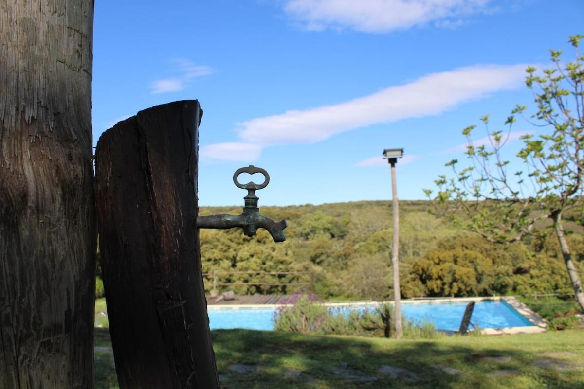 ホテル Quinta Da Devesa -B2 ビニャイシュ エクステリア 写真